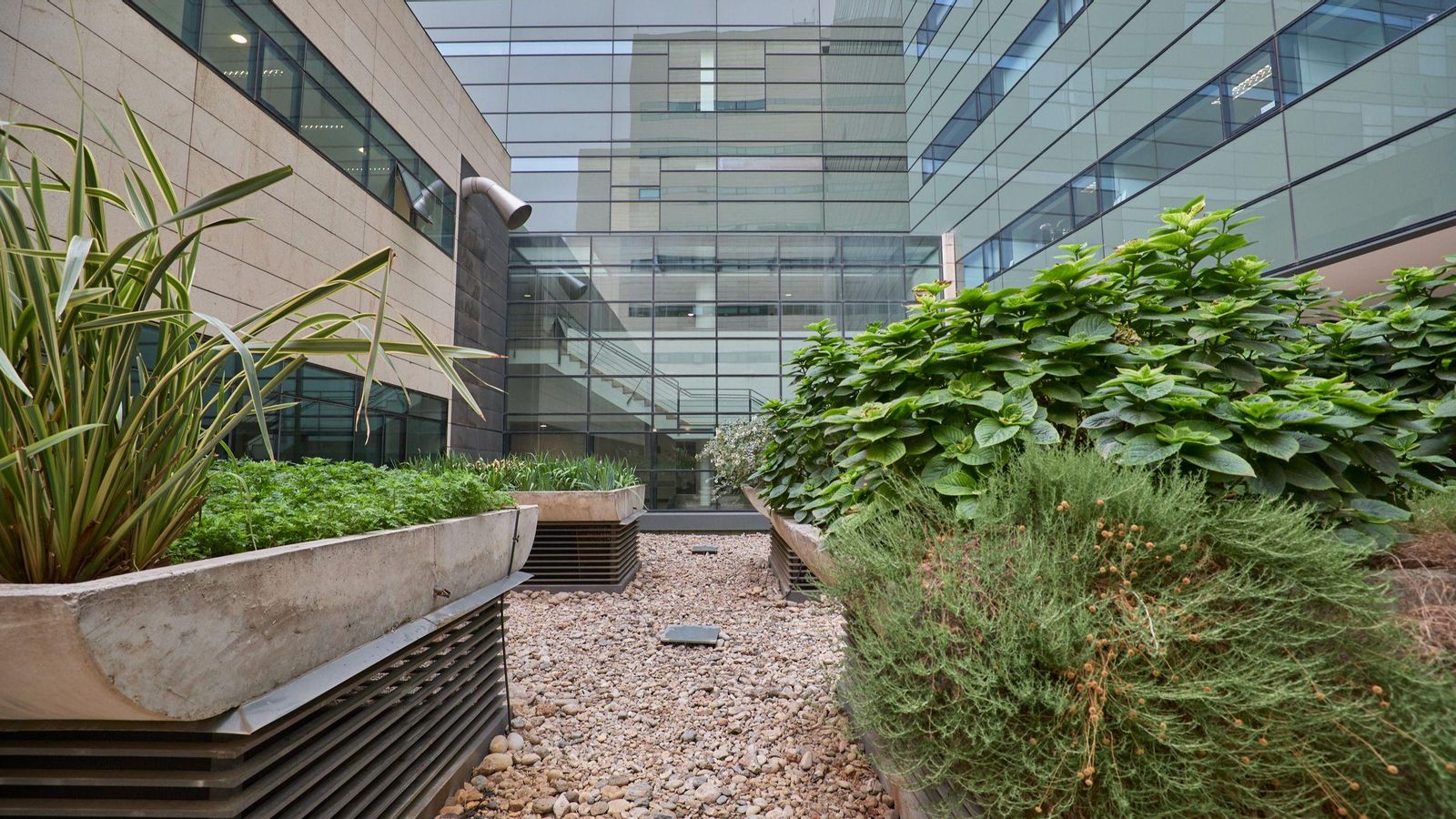 Jardín interior del Hospital Clínico de Granada