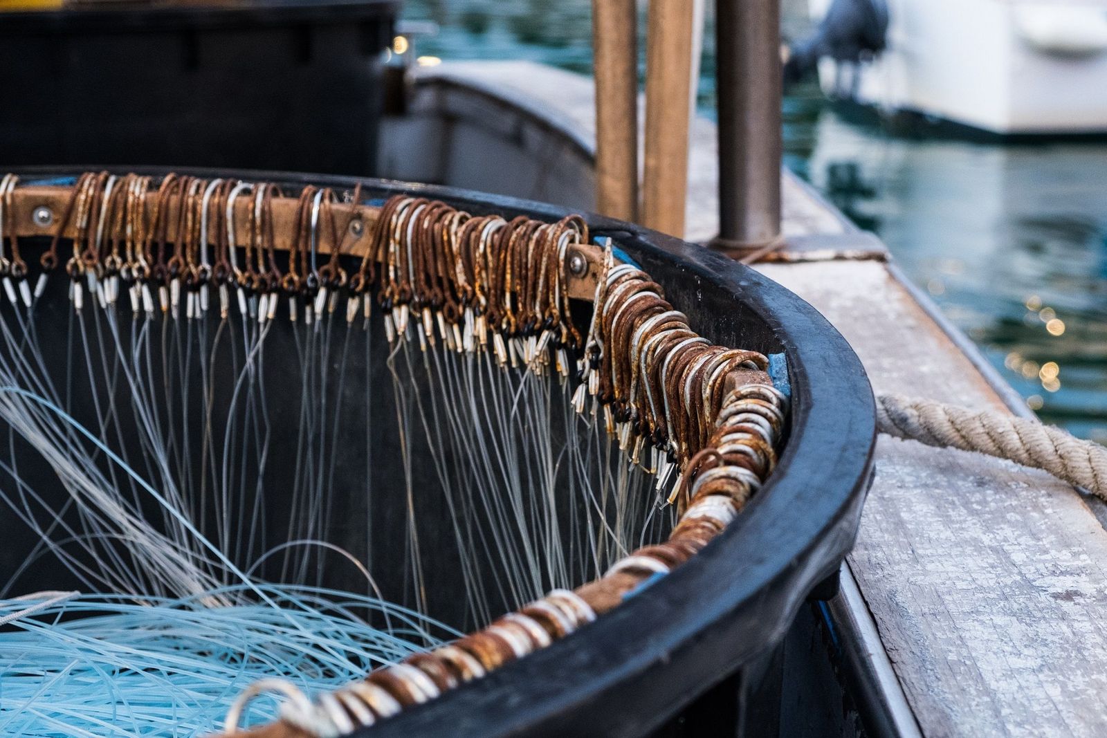 Imagen de archivo de la pesca de palangre.
