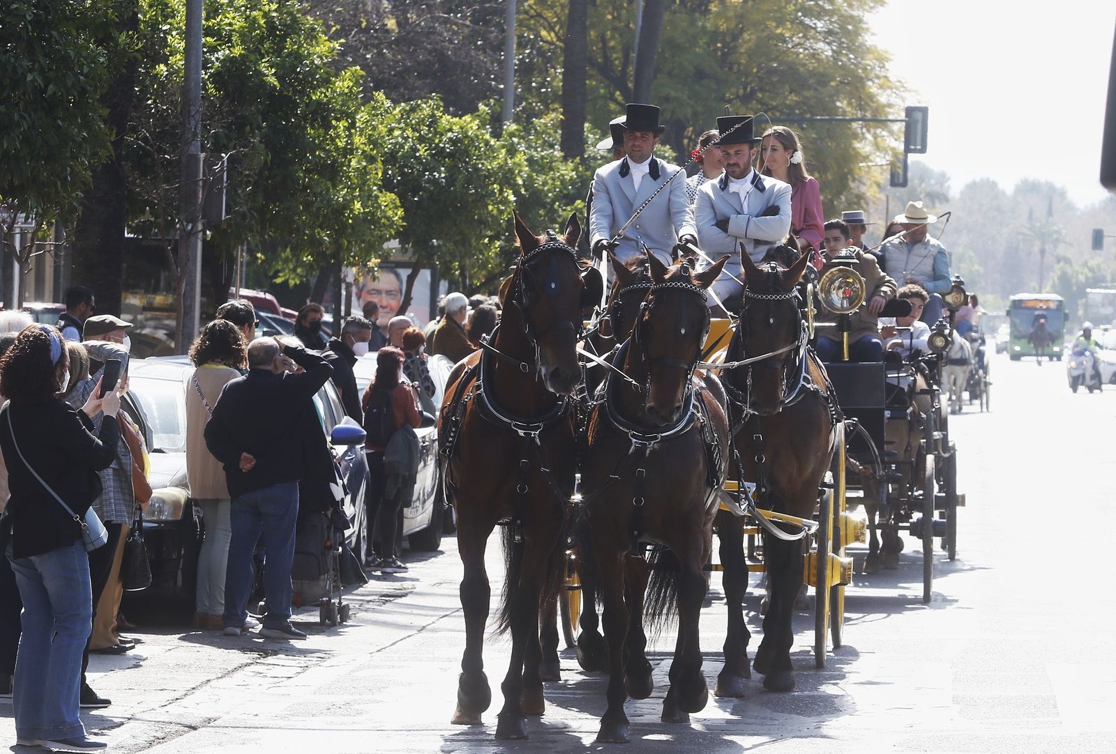 La marcha hípica en Córdoba por el 28-F, en fotografias.