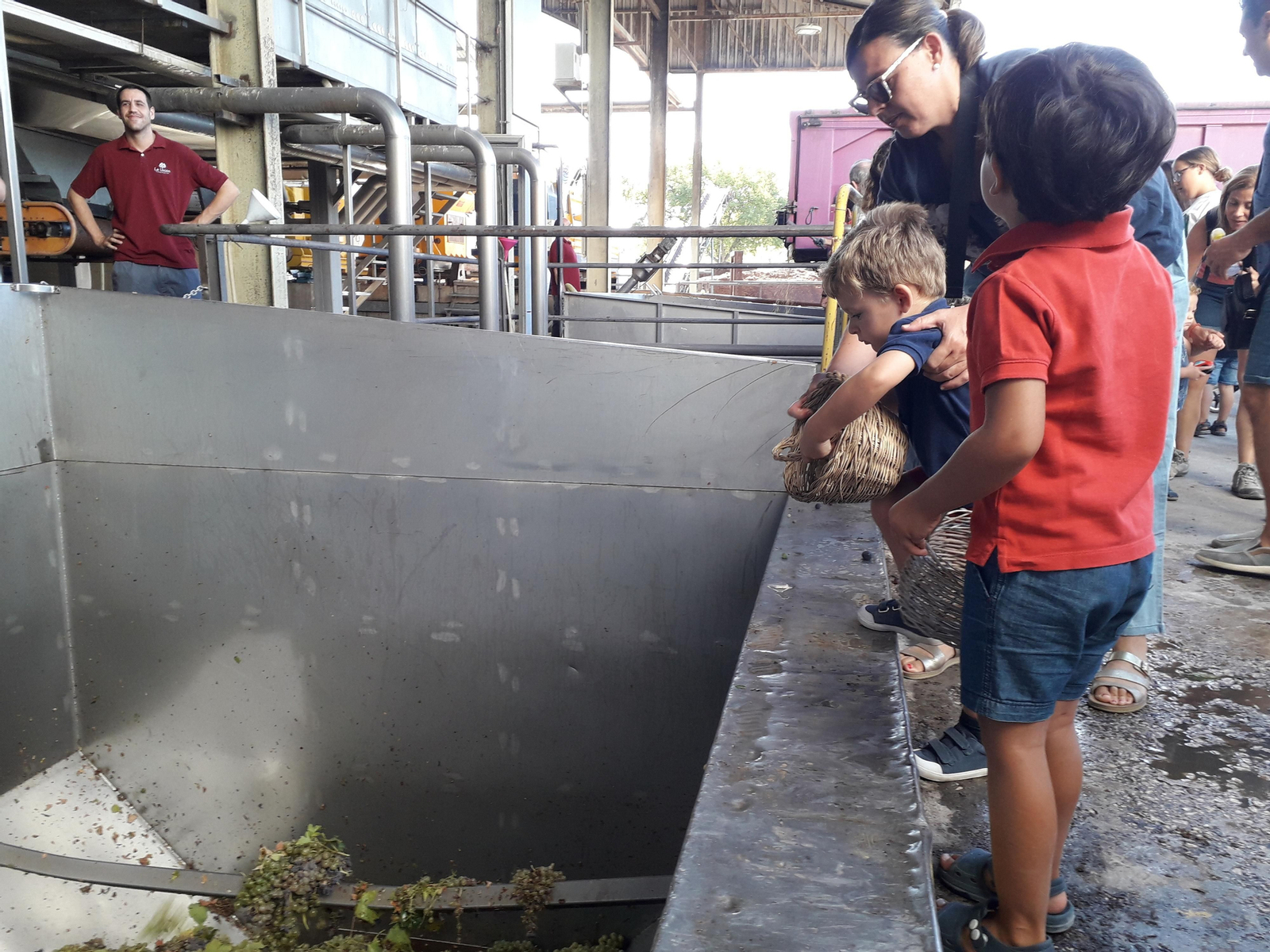 La primera vendimia infantil de Montilla, en imágenes
