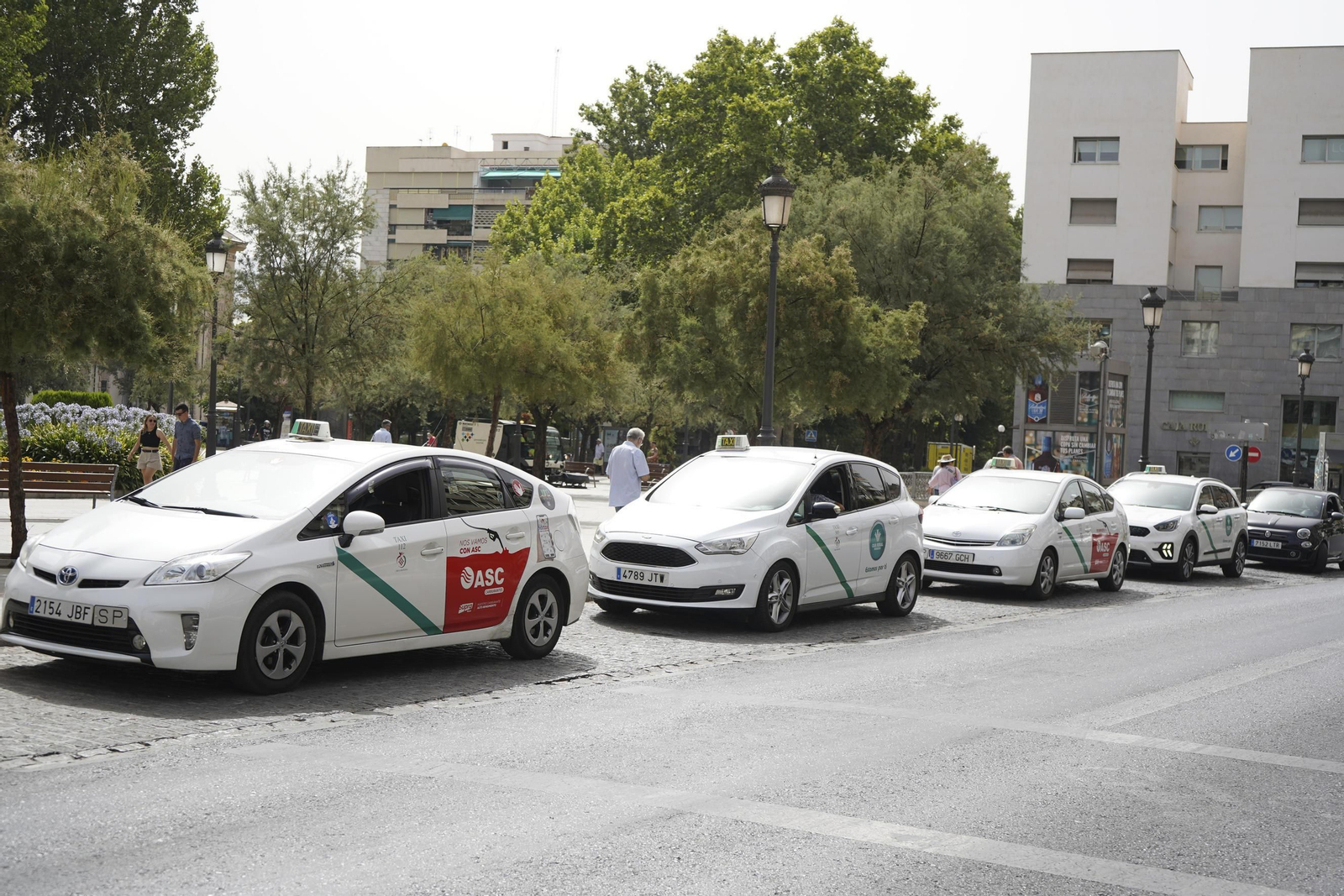 Taxis esta mañana en la parada de la Fuente de las Batallas