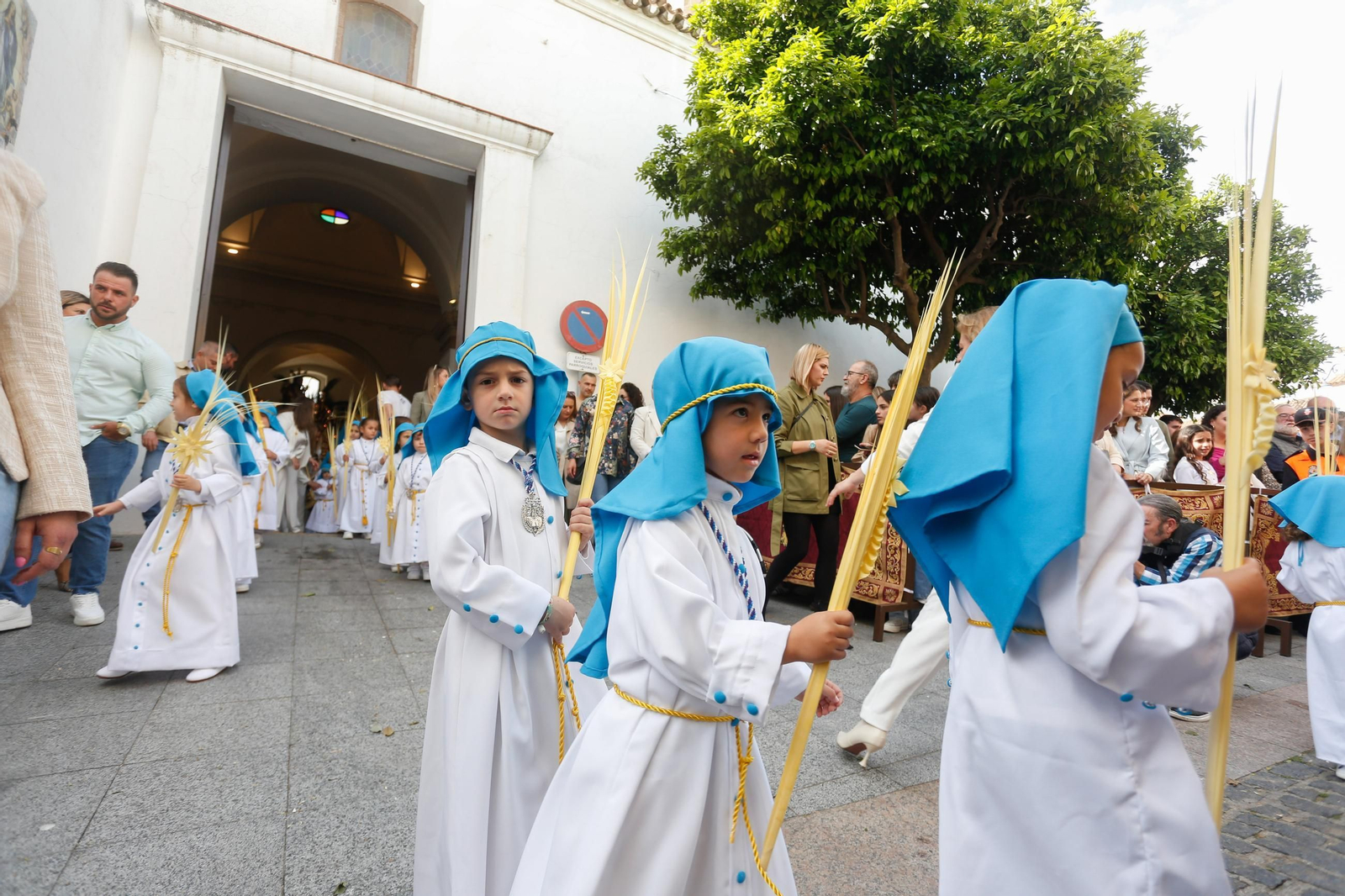 Fotos del Domingo de Ramos en Los Barrios