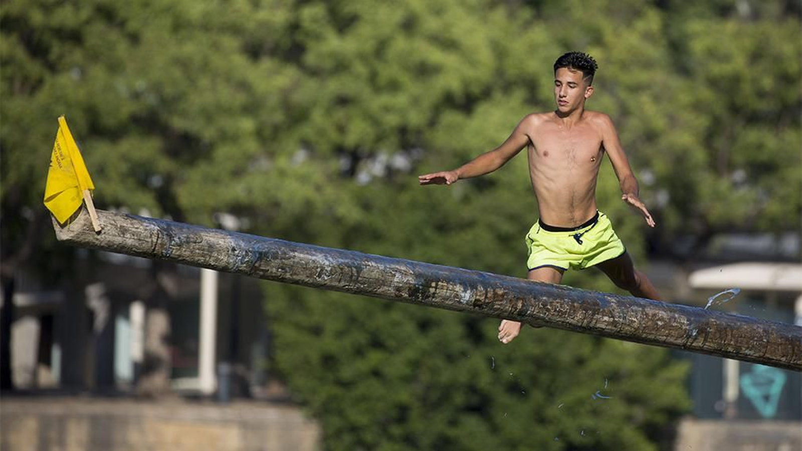 las imagenes de la cucaña