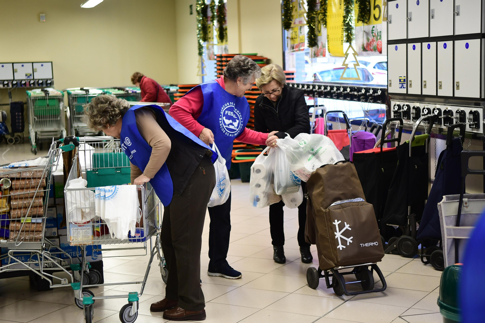 La Gran Recogida del Banco de Alimentos en Córdoba, en imágenes