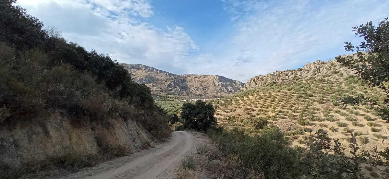 Ruta Zagrilla Baja - Esparragal - Zagrilla Baja (Priego de Córdoba)