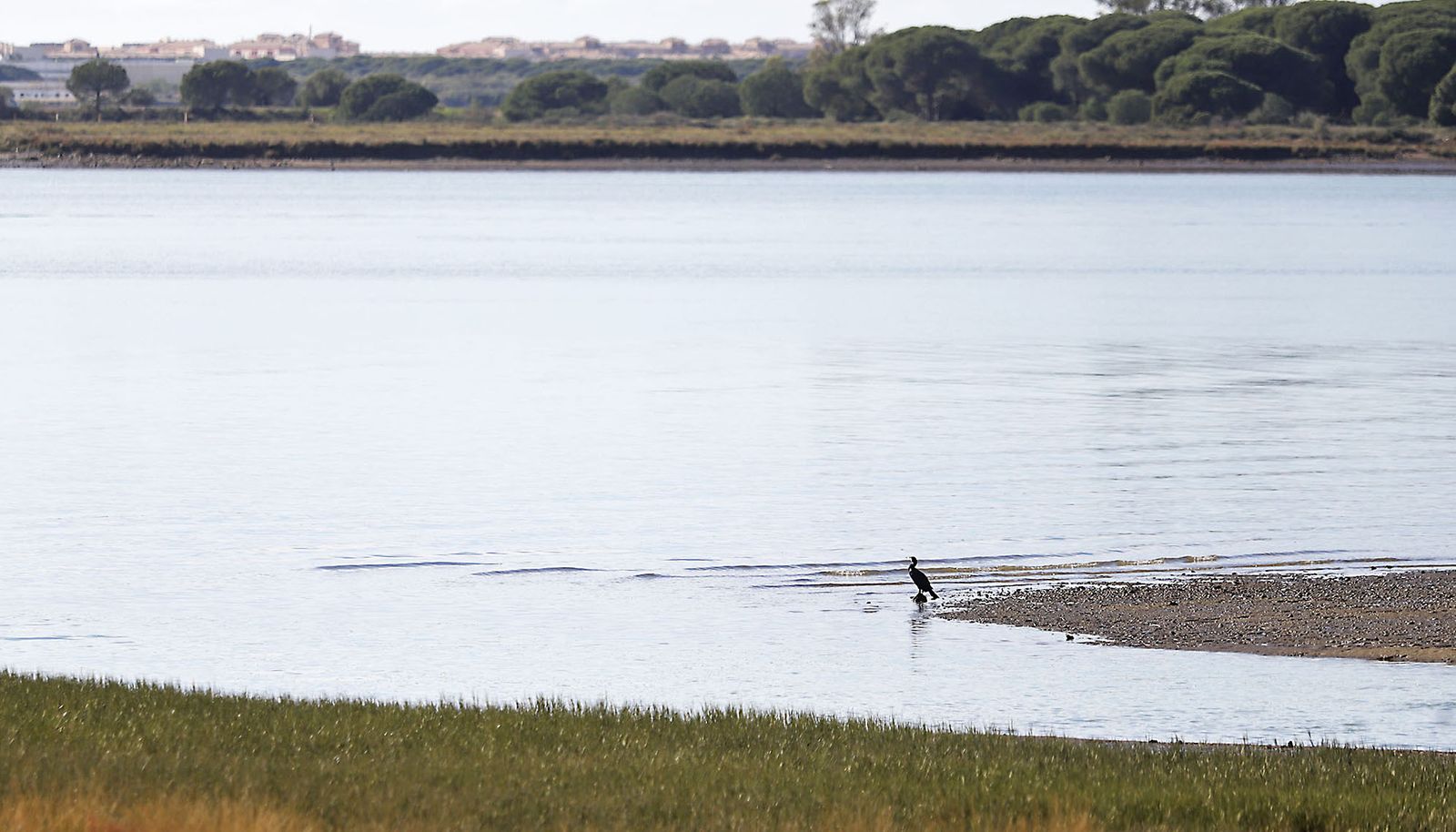 Las imágenes más destacadas del domingo 3 de diciembre en Huelva