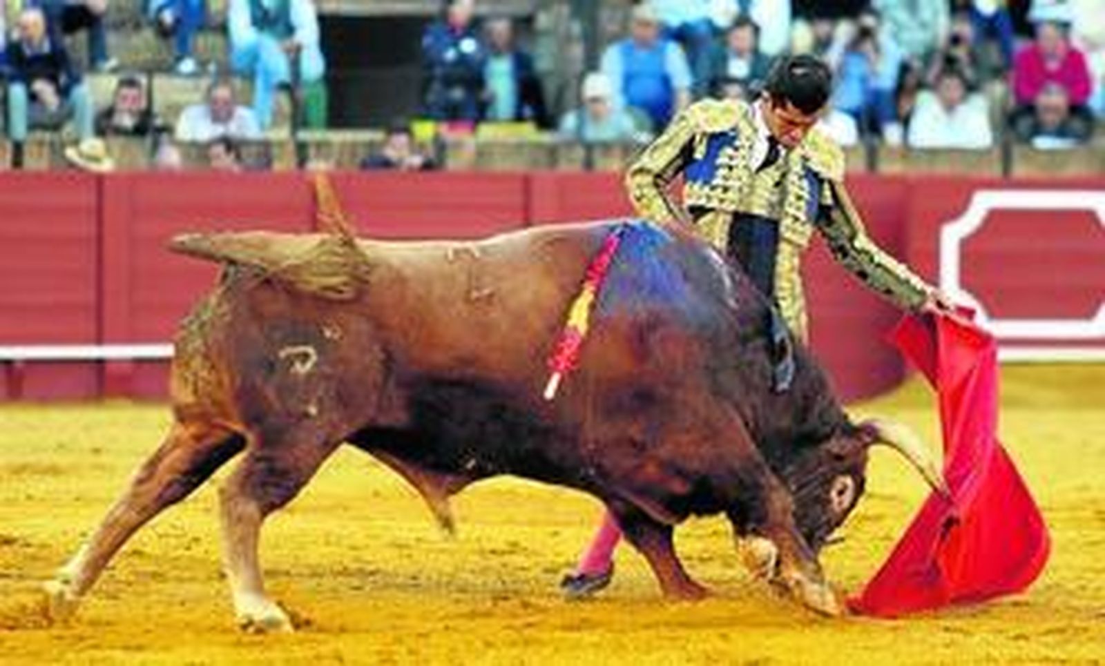 Joselito Adame, en un natural al sexto toro, en el que dio una vuelta al ruedo tras su lidia.