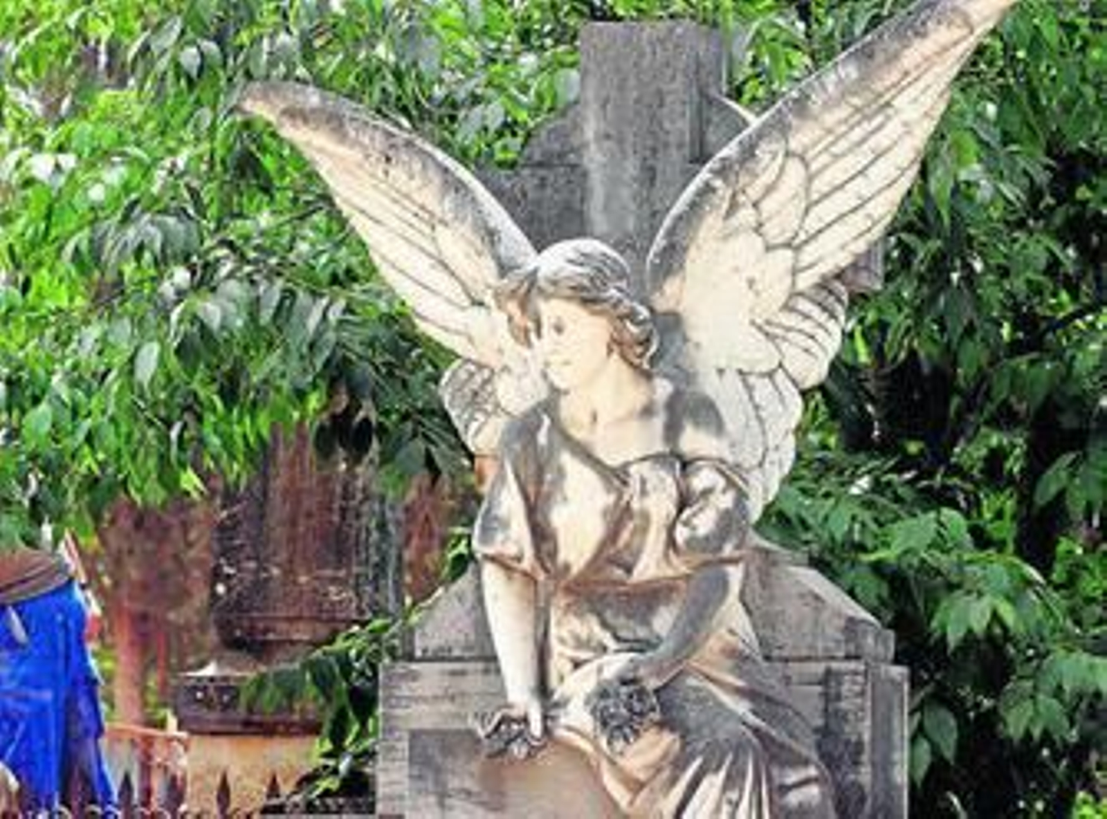 María Francés asegura que la carta llegaría a este vecino por haber sido propietario de un nicho o un panteón.