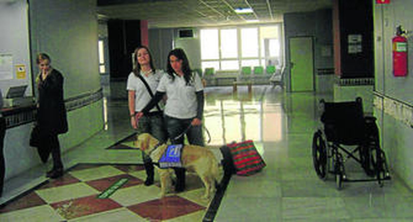 Un perro adiestrado entra por vez primera en un hospital andaluz