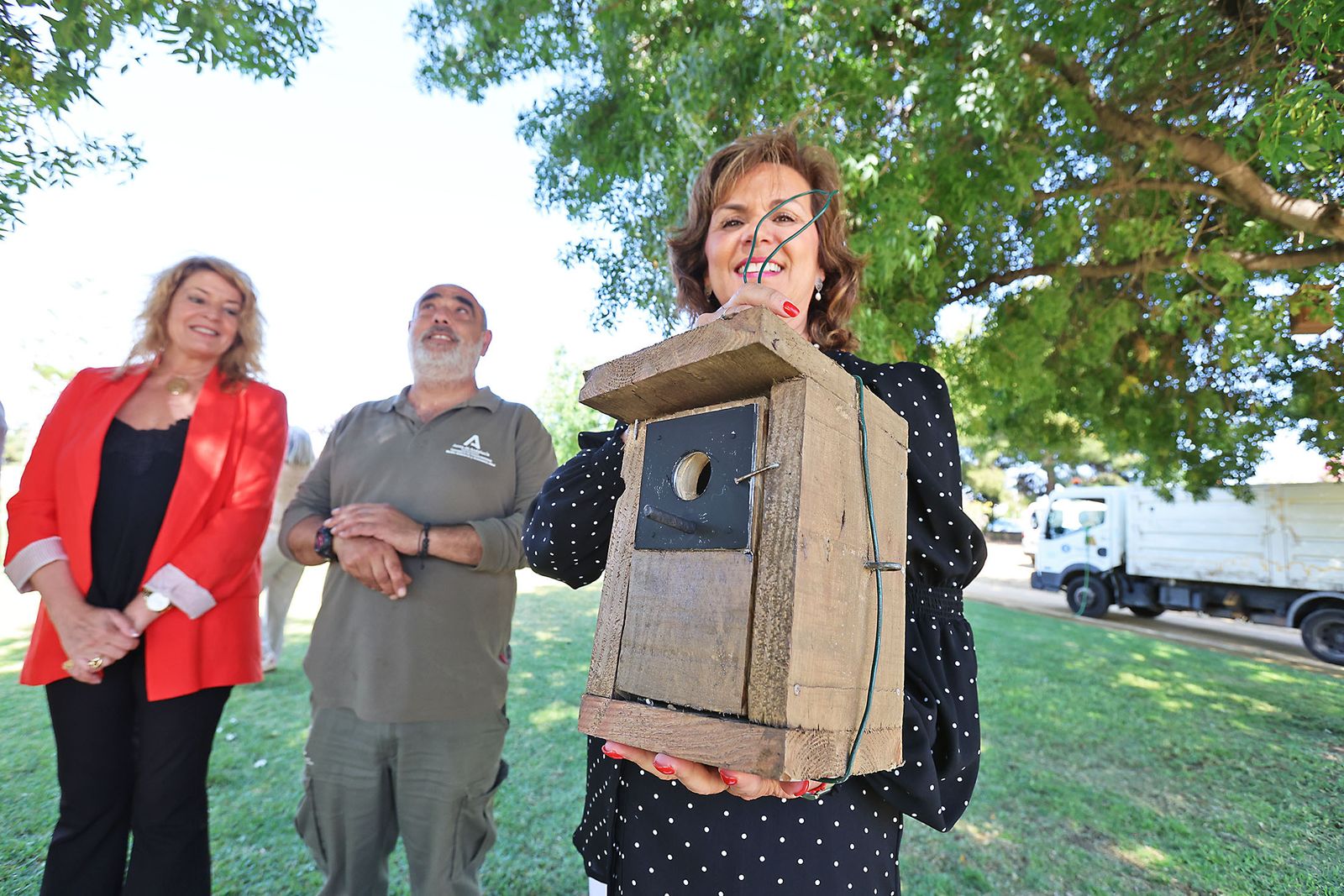 Imágenes de la colocación de cajas nidos  en árboles del parque Antonio Machado