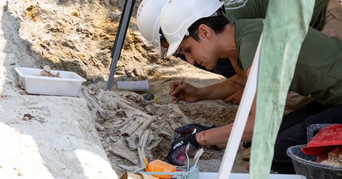 Luz verde a la exhumación de los restos de más de 150 personas de dos fosas comunes en la provincia de Jaén