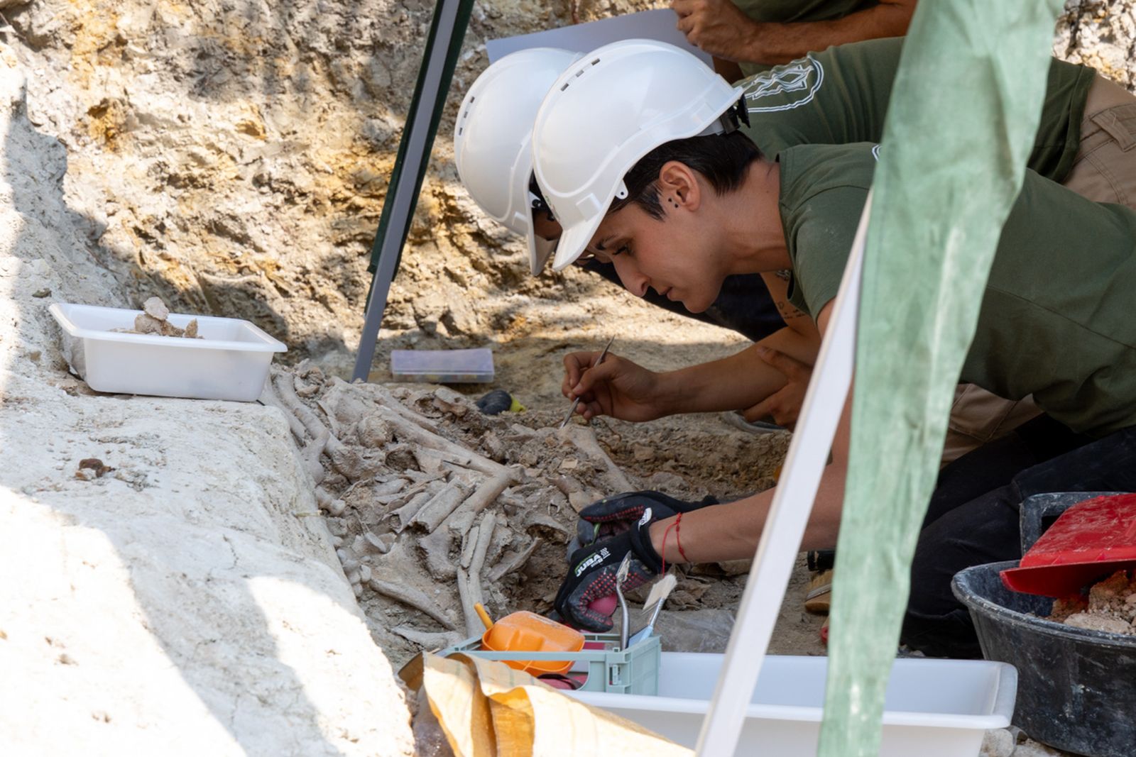 Inicio de los trabajos de exhumación en la fosa común 548 del cementerio San Eufrasio