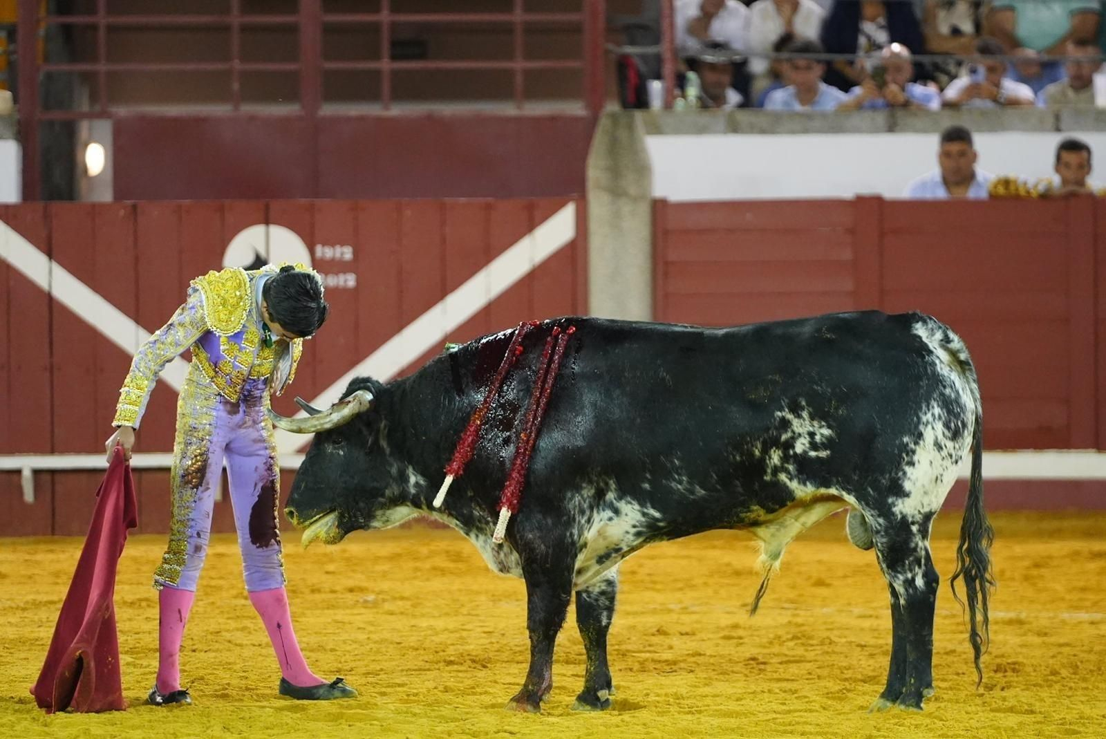 Las mejores imágenes de las corridas de toros de la Feria de Pozoblanco