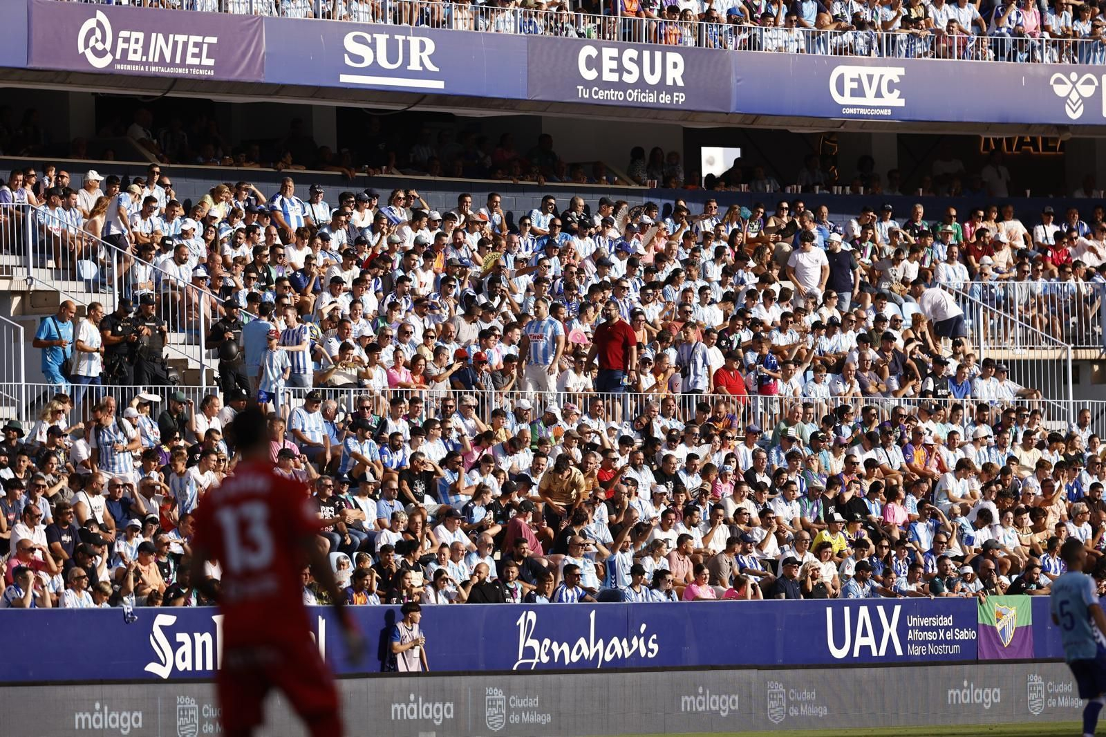 Búscate en las gradas de La Rosaleda durante el Málaga CF-Cádiz