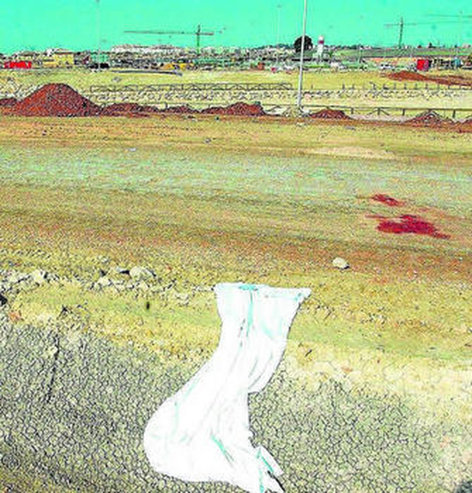 Imagen del carril junto a la Laguna de Torrox, el día del suceso.