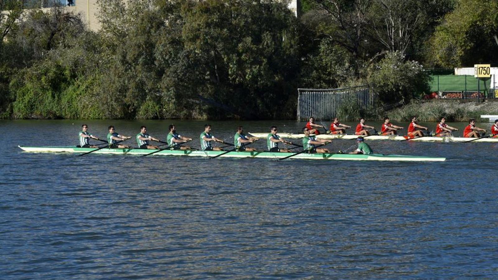 Los remeros del Betis y el Sevilla, en acción.