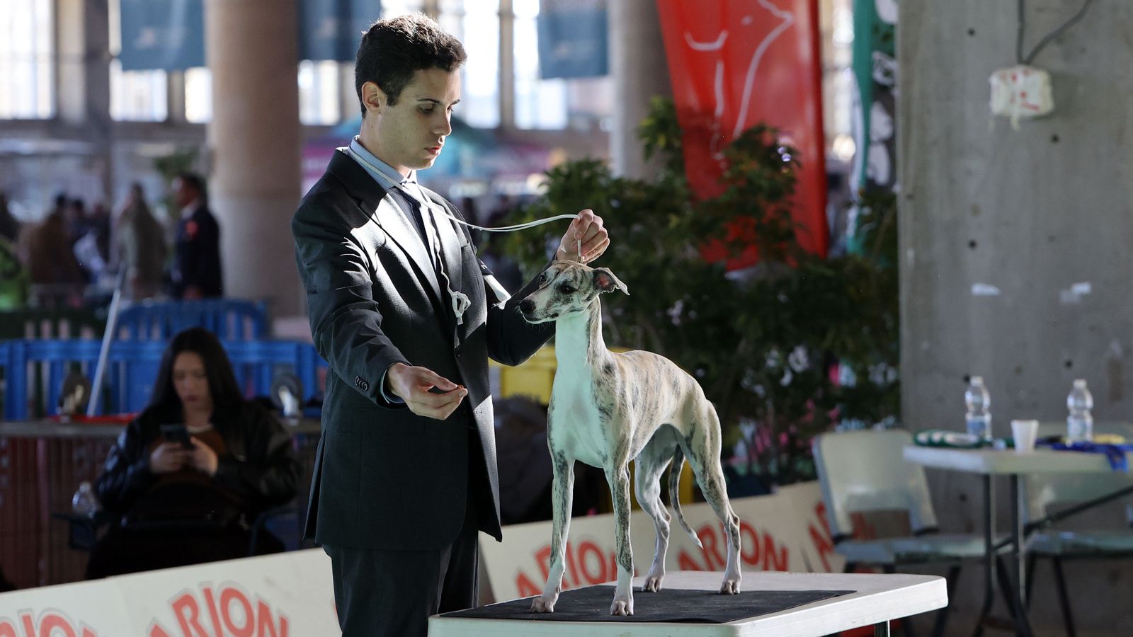 Imágenes de la 49ª edición de la Exposición Nacional Canina y la 25ª edición de la Exposición Internacional Canina en IFECA Jerez