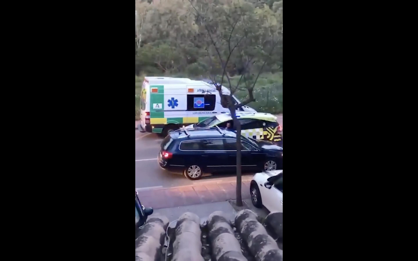 La Policía Local de Marbella y los servicios sanitarios en el lugar de los hechos. La Policía Local de Marbella y los servicios sanitarios en el lugar de los hechos.