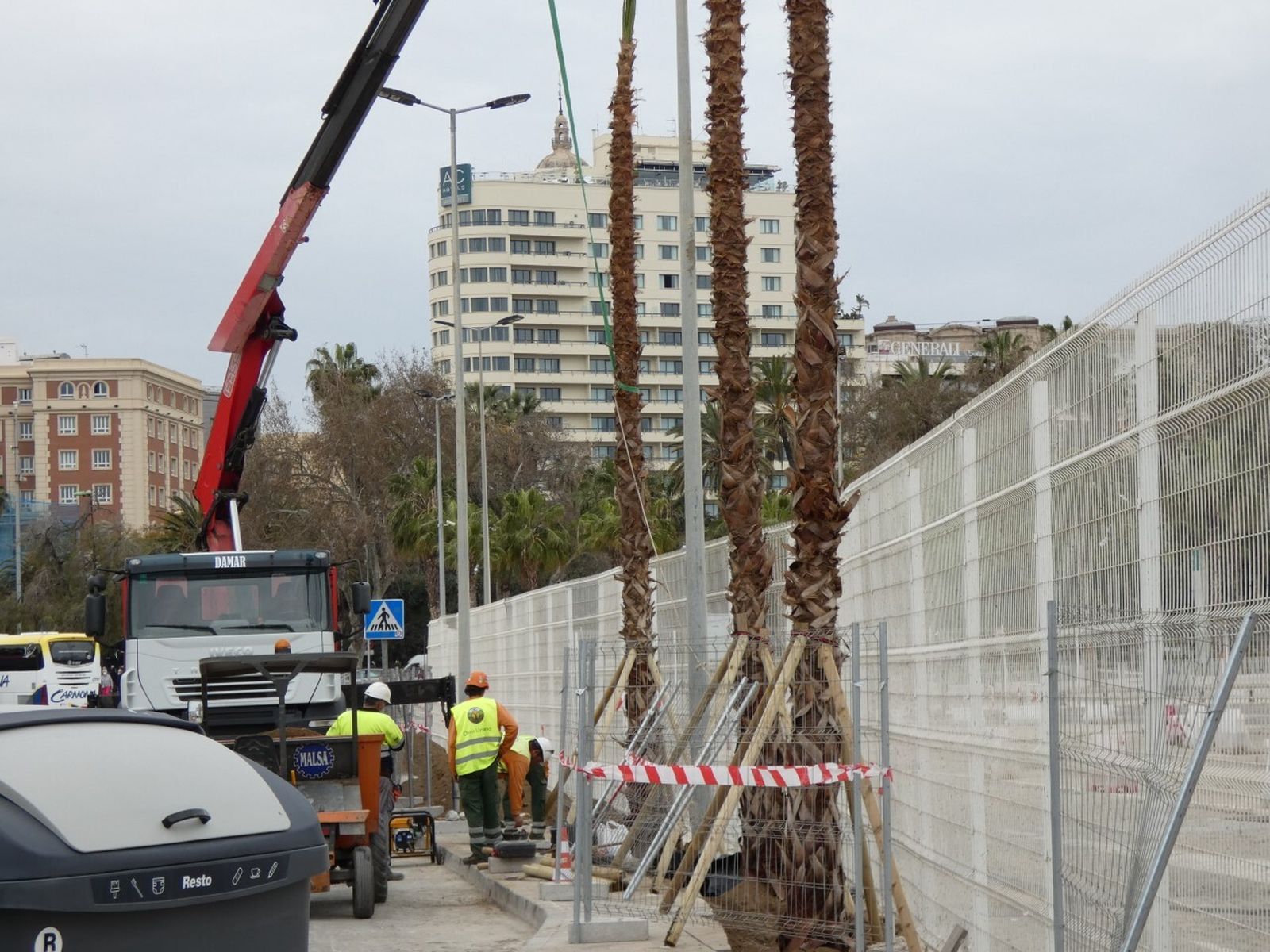 Las palmeras que podrían comprometer la seguridad