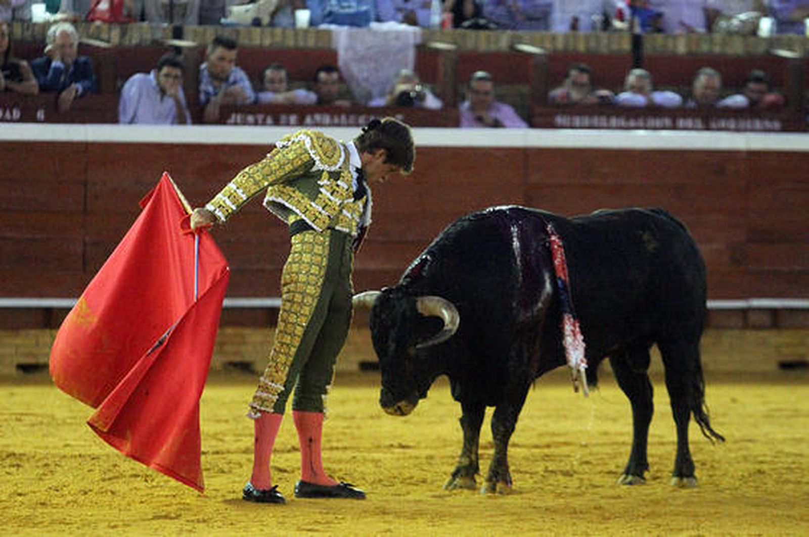 Foto: Alberto Domínguez