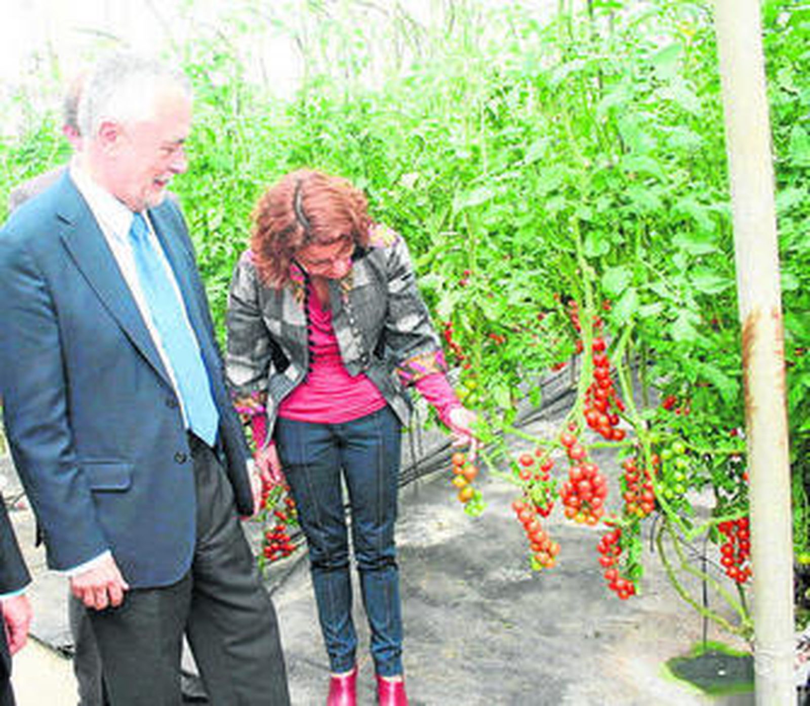 La delegada Maribel Requena con el tomate cherry.
