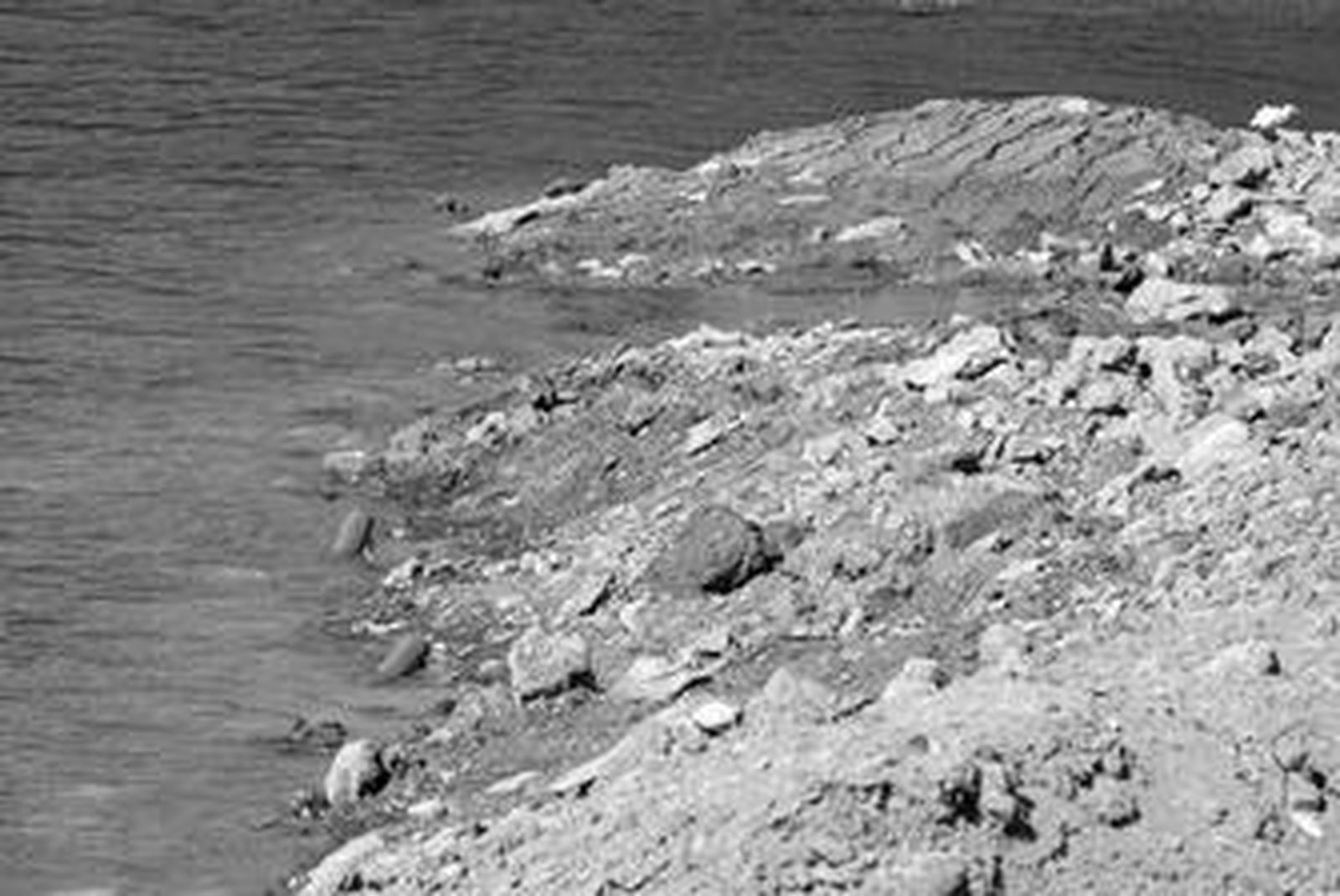 Tubos en el acuífero de Las Pilas, ayer, en la zona donde se realizan los rellenos.