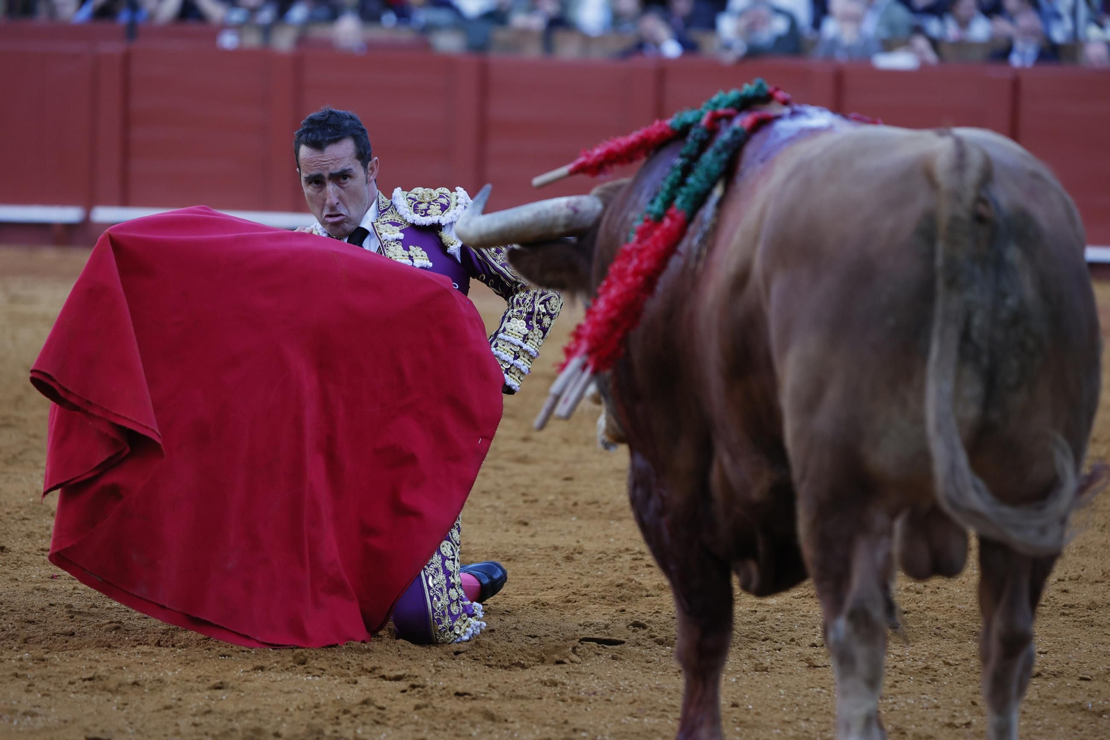 Las Imágenes del festejo