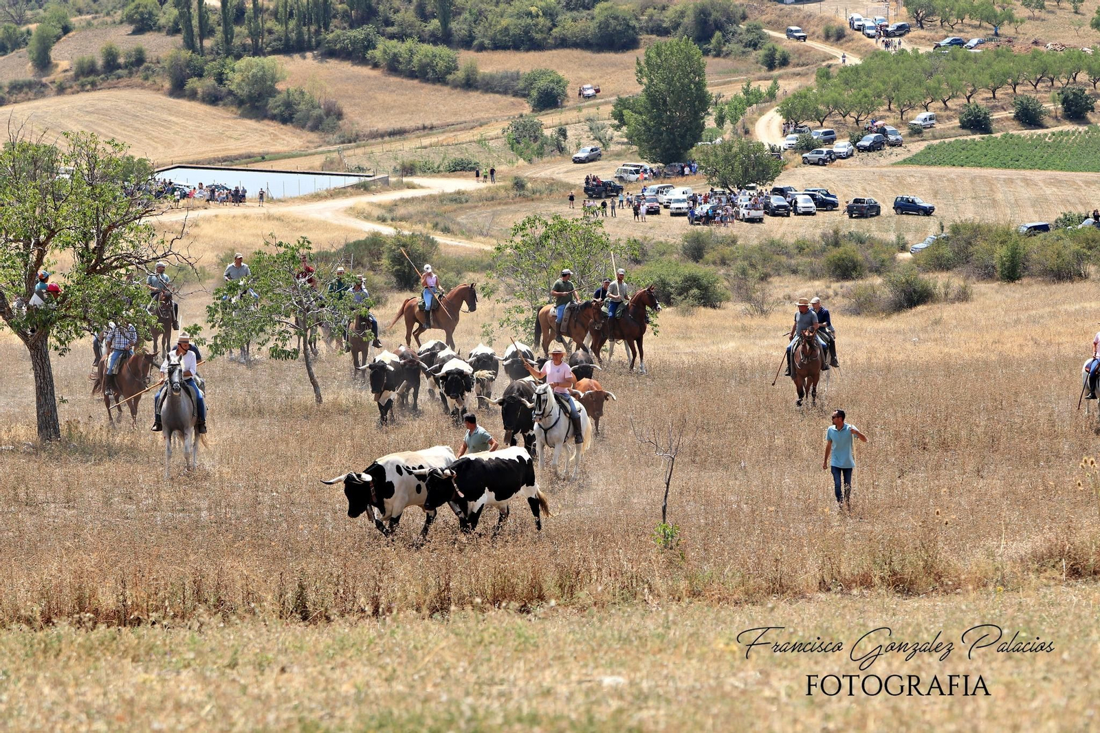 Saltos y fintas de vértigo en los encierros de Santiago de la Espada, en imágenes