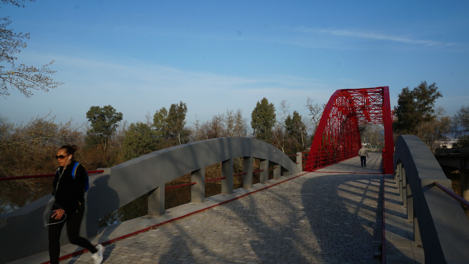 Puente de hierro o de los Remedios.