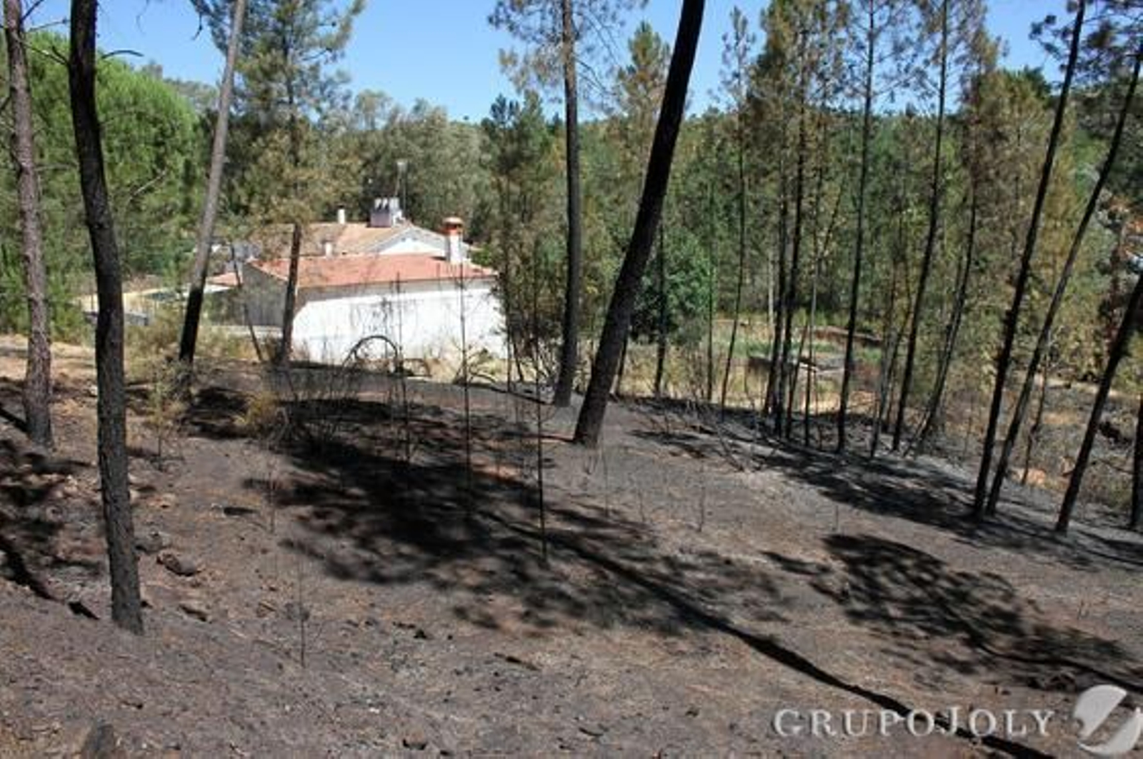 Foto: Alberto Domínguez