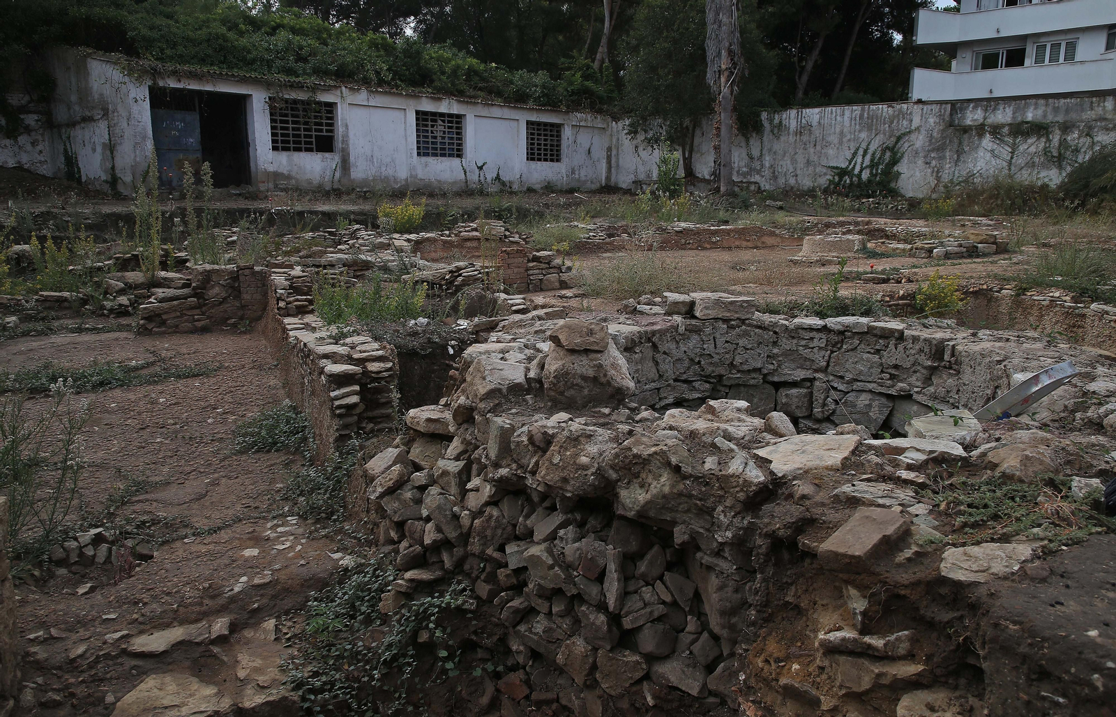 Fotos de las obras en el centro de interpretación 'Paco de Lucía' y en la fábrica de salazón de Algeciras