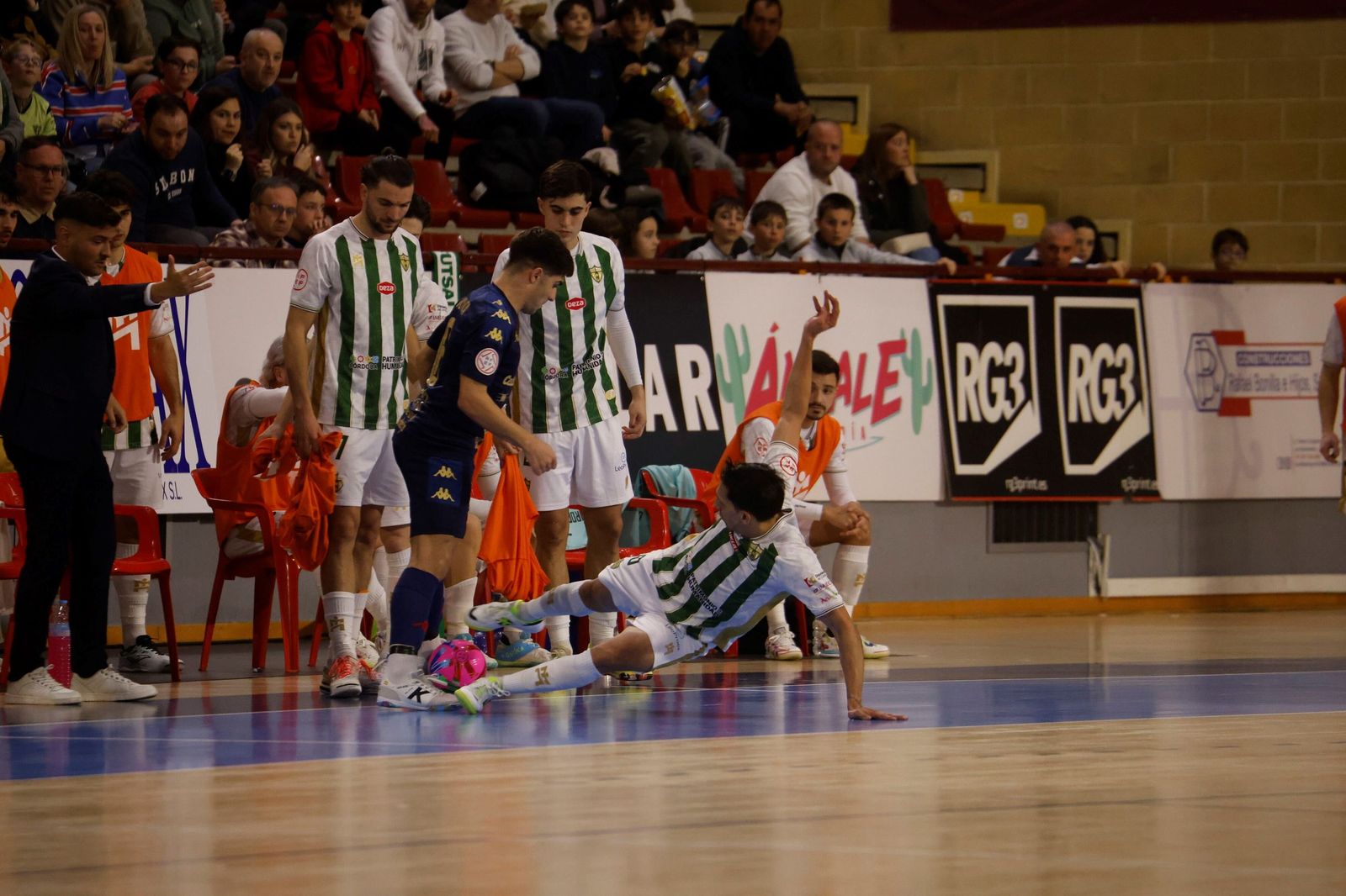 Las mejores fotos del ambiente en Vista Alegre para el Córdoba Futsal - O Parrulo Ferrol