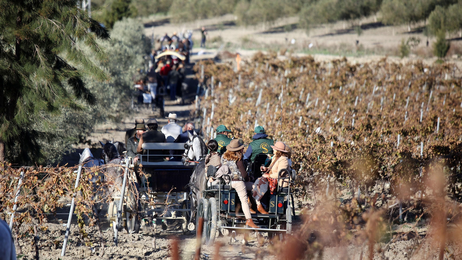 II Ruta Viñas de Jerez