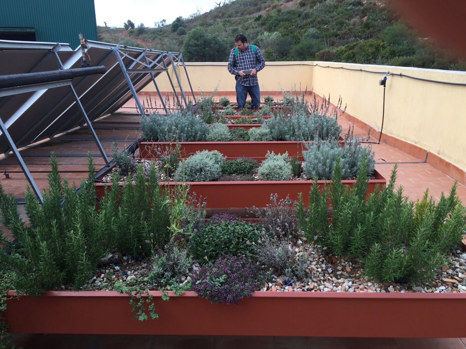Instalación de un jardín en el tejado de un edificio.