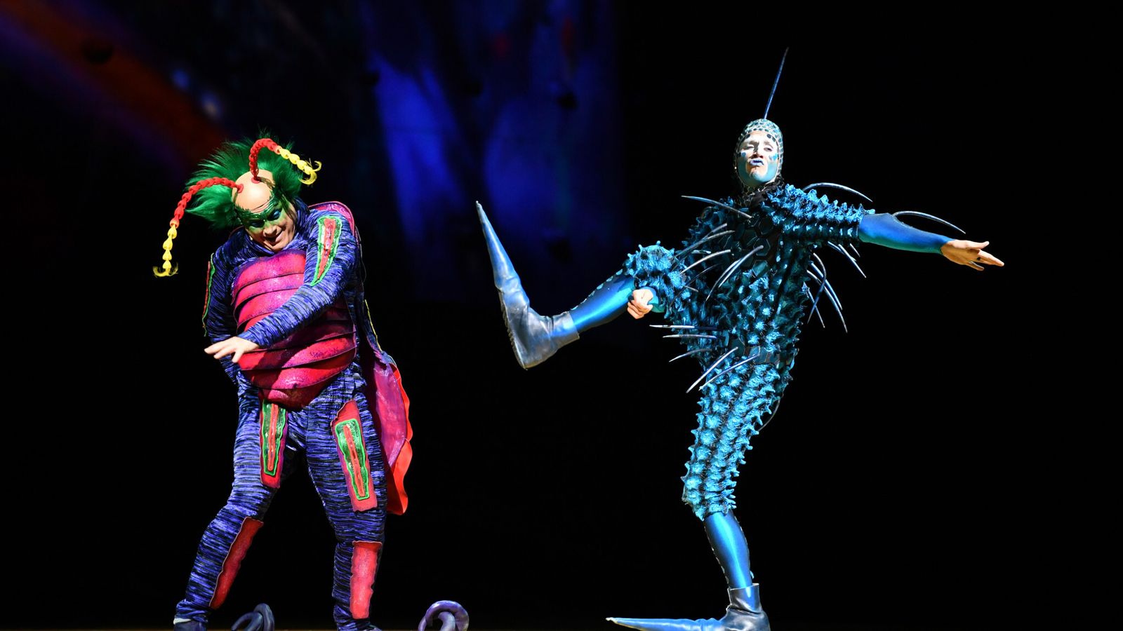 La historia de OVO es una inmersión en un mundo microscópico lleno de vida, amor y aventura.