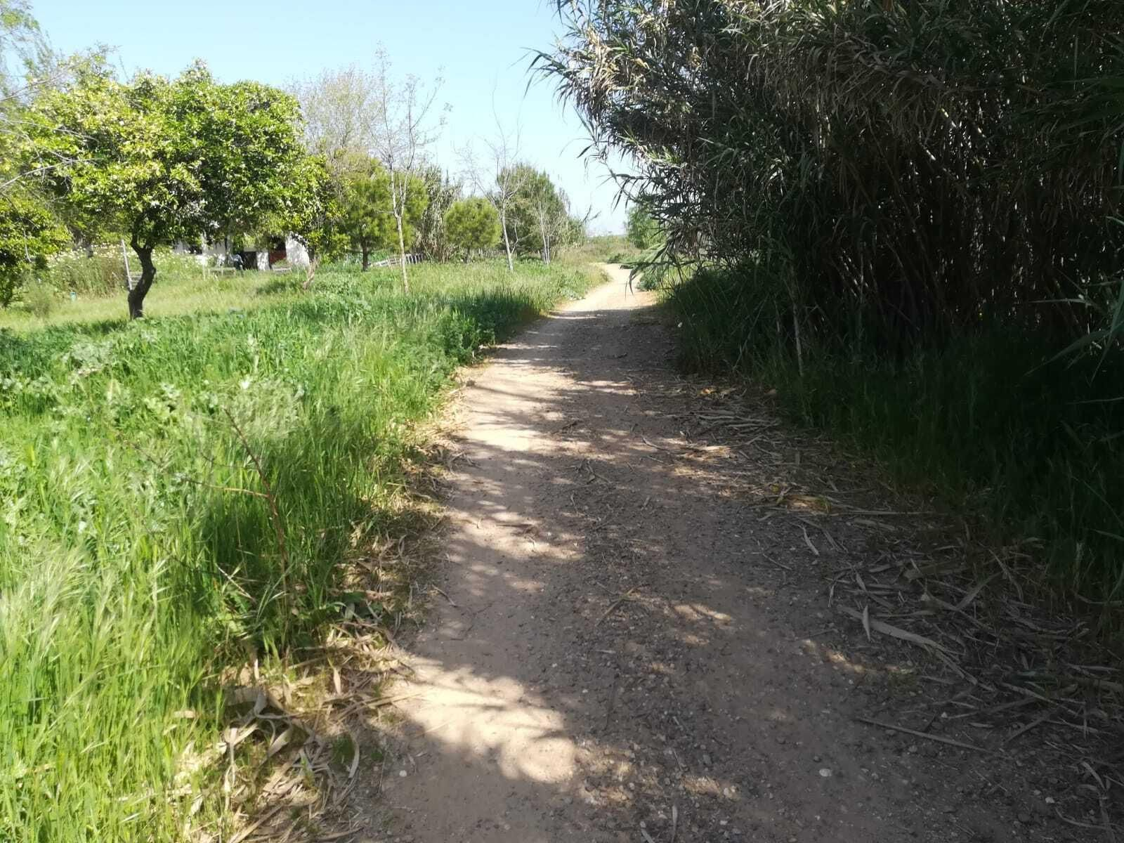 La ruta del Río Pudio por Espartinas, en imágenes