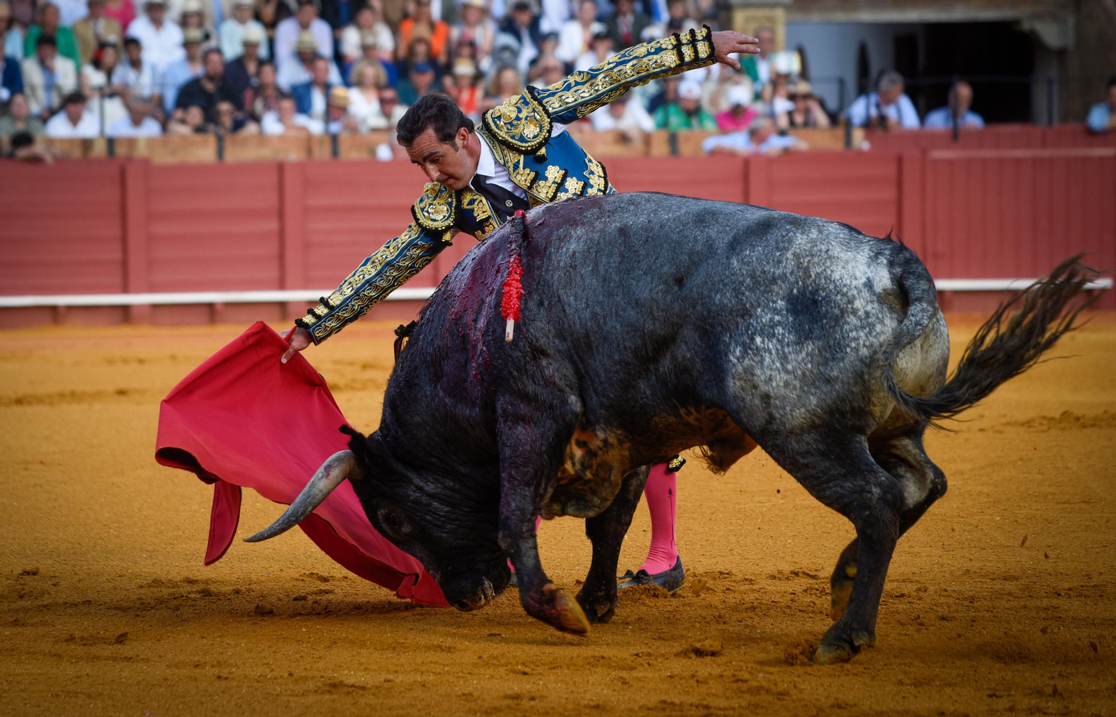 Las imágenes de la corrida de toros de El Fandi, Manuel Escribano y Esaú Fernández