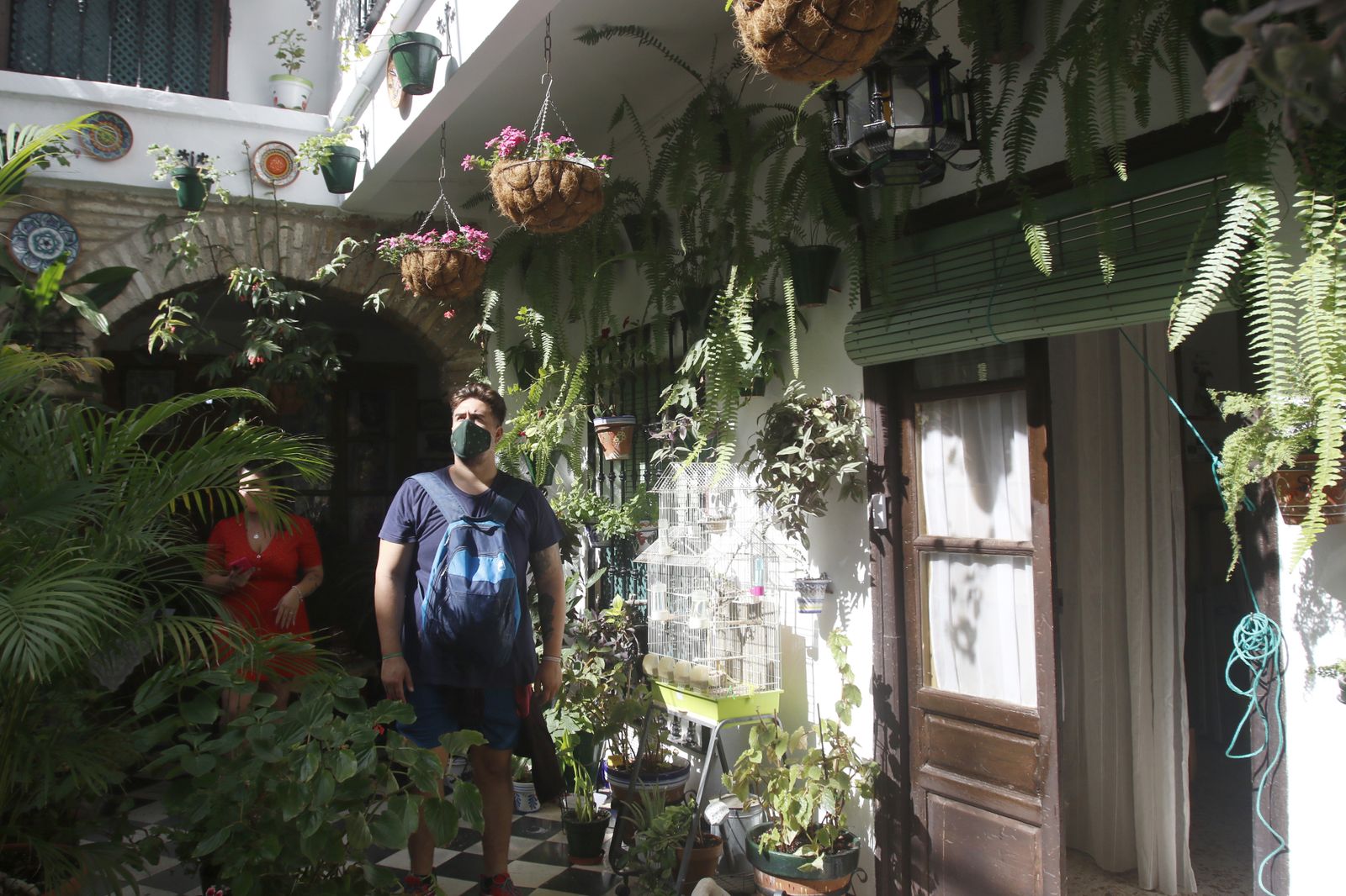 Las fotografías de los Patios de Córdoba en otoño