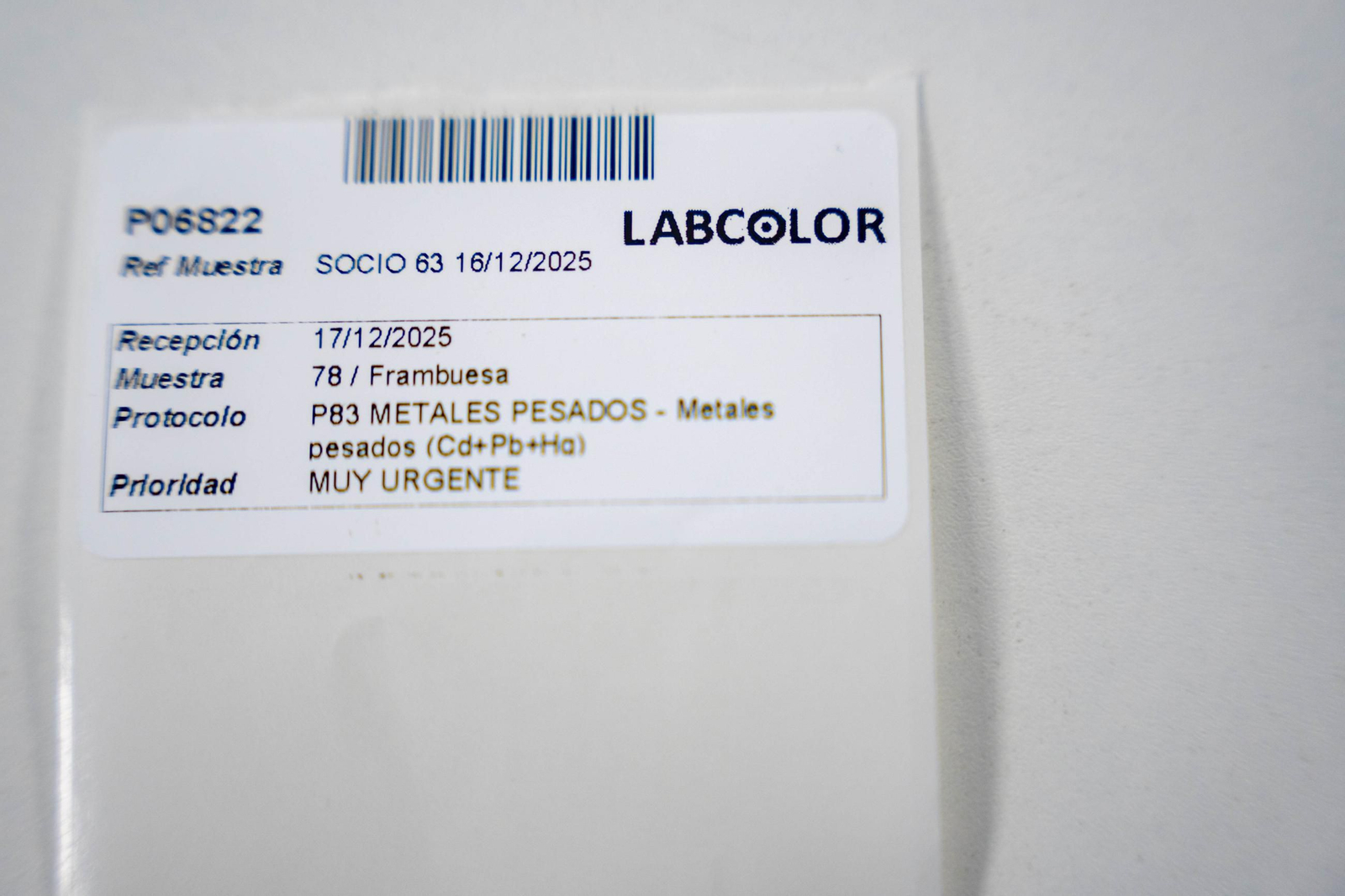 CIT COEX abre sus puertas al futuro: innovación, conocimiento y territorio