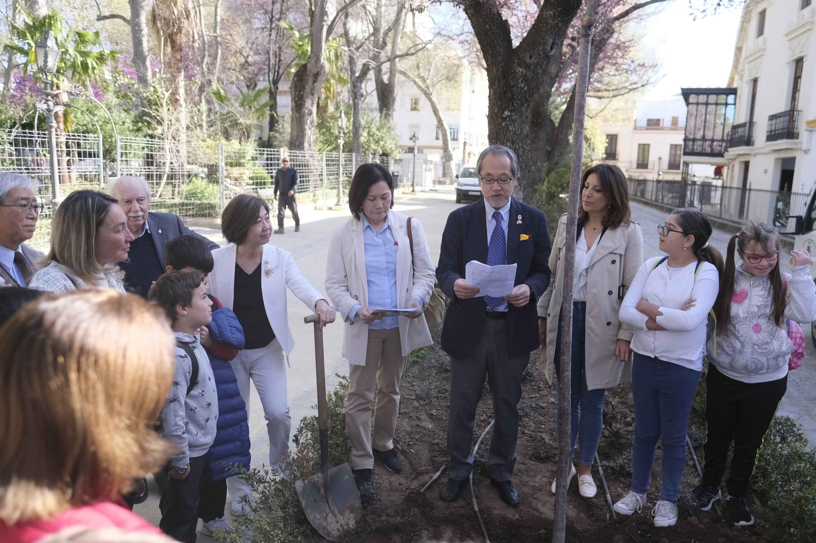 Plantación de cerezos en la Alameda del Tajo.