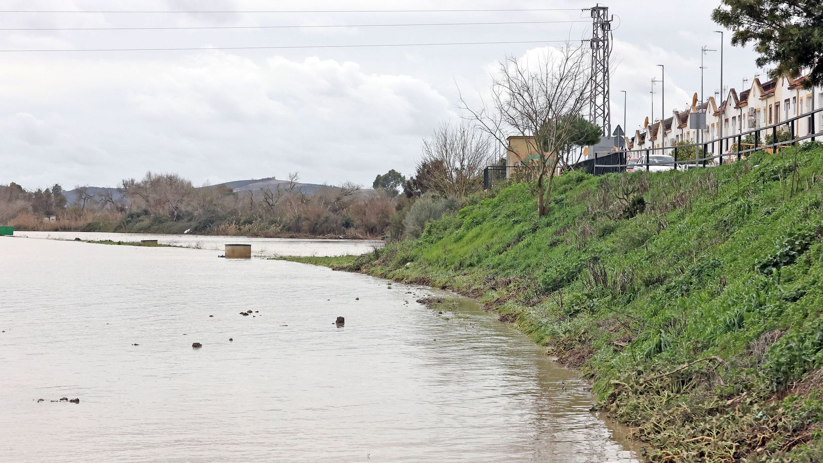 El Guadalete comienza a bajar su nivel poco a poco por la zona rural de Jerez