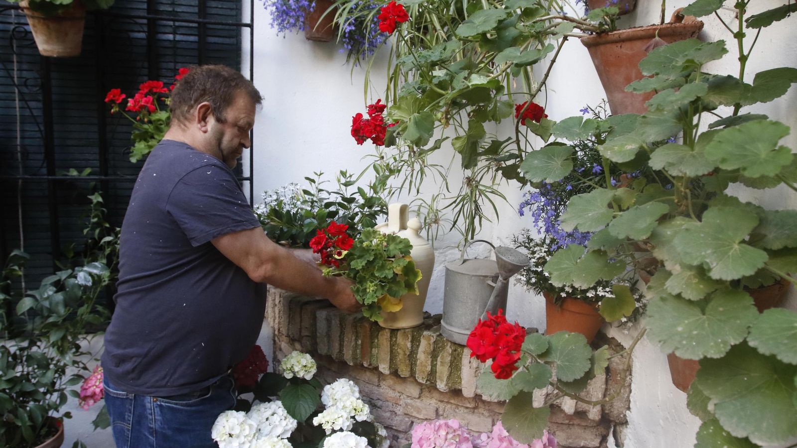 Francisco Diego Ruano, en su patio de Agustín Moreno, 43.