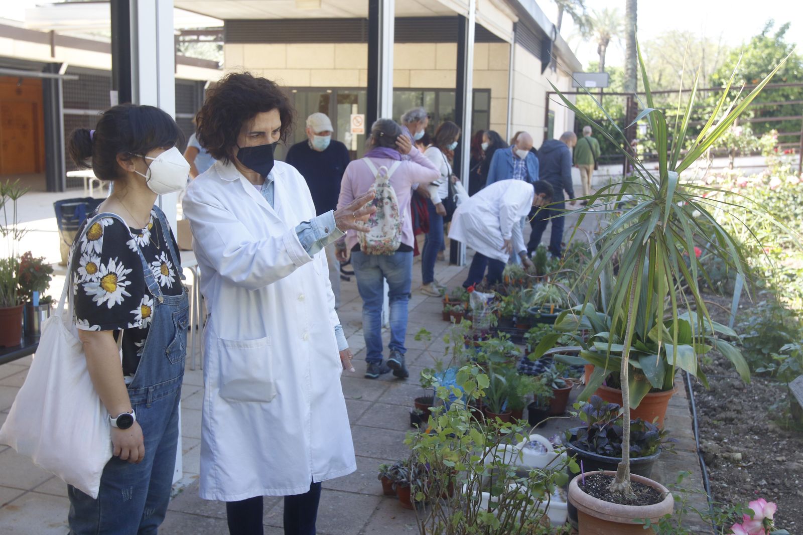 El Mercado de trueque de plantas del Jardín Botánico de Córdoba, en imágenes