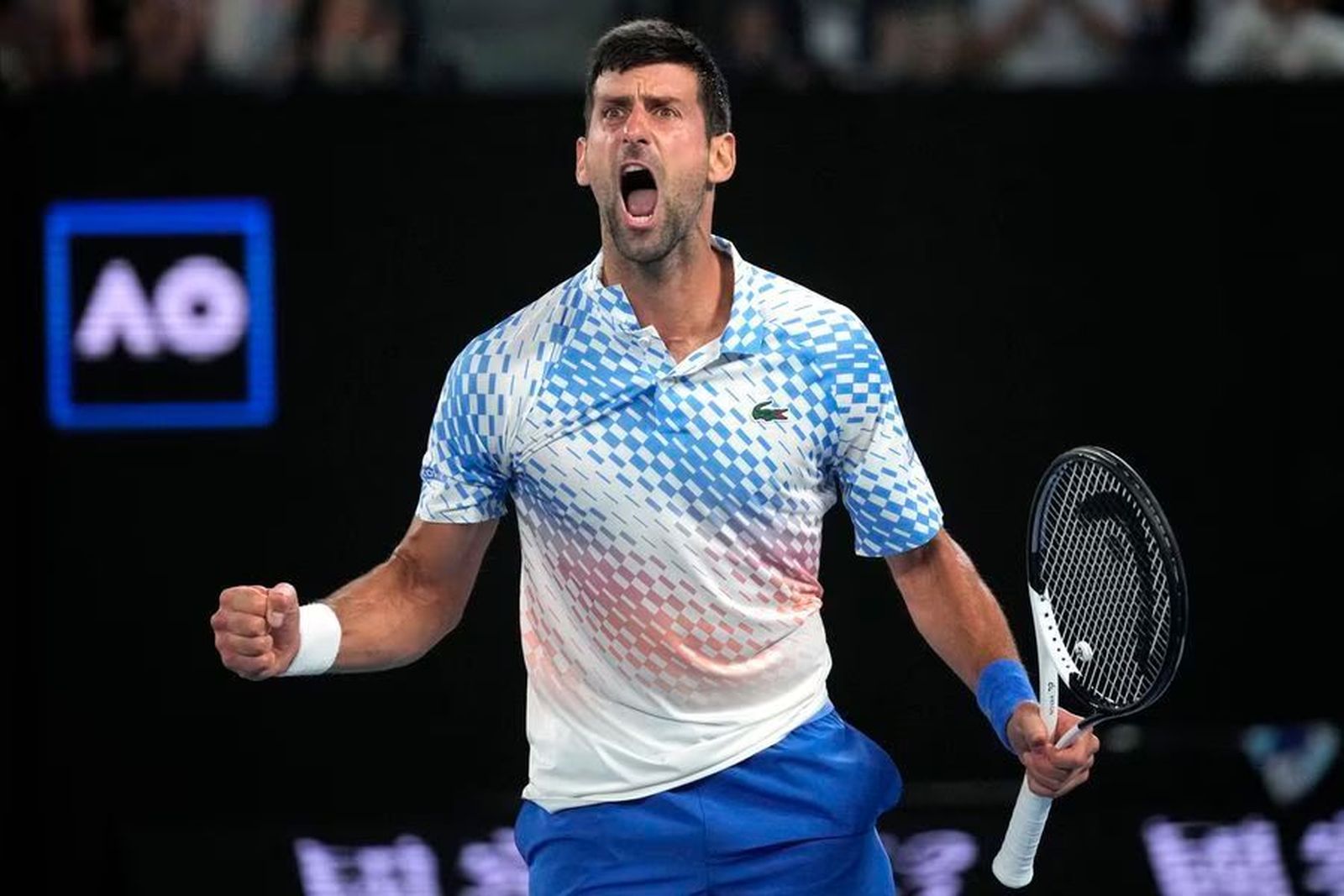 Open de Australia Día 10: La ley de Nole