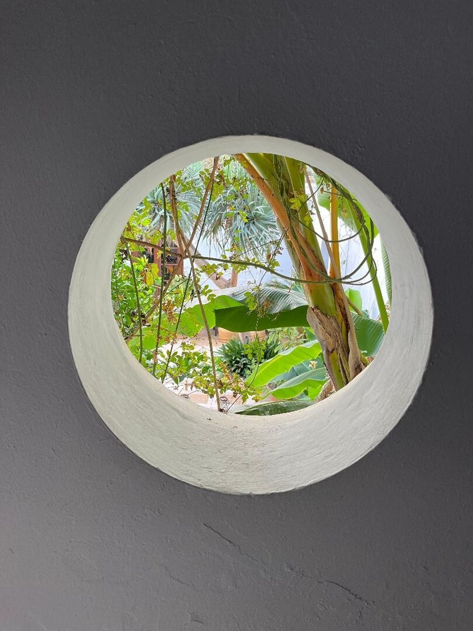 Un ojo de buey ofrece una estimulante vista al patio.