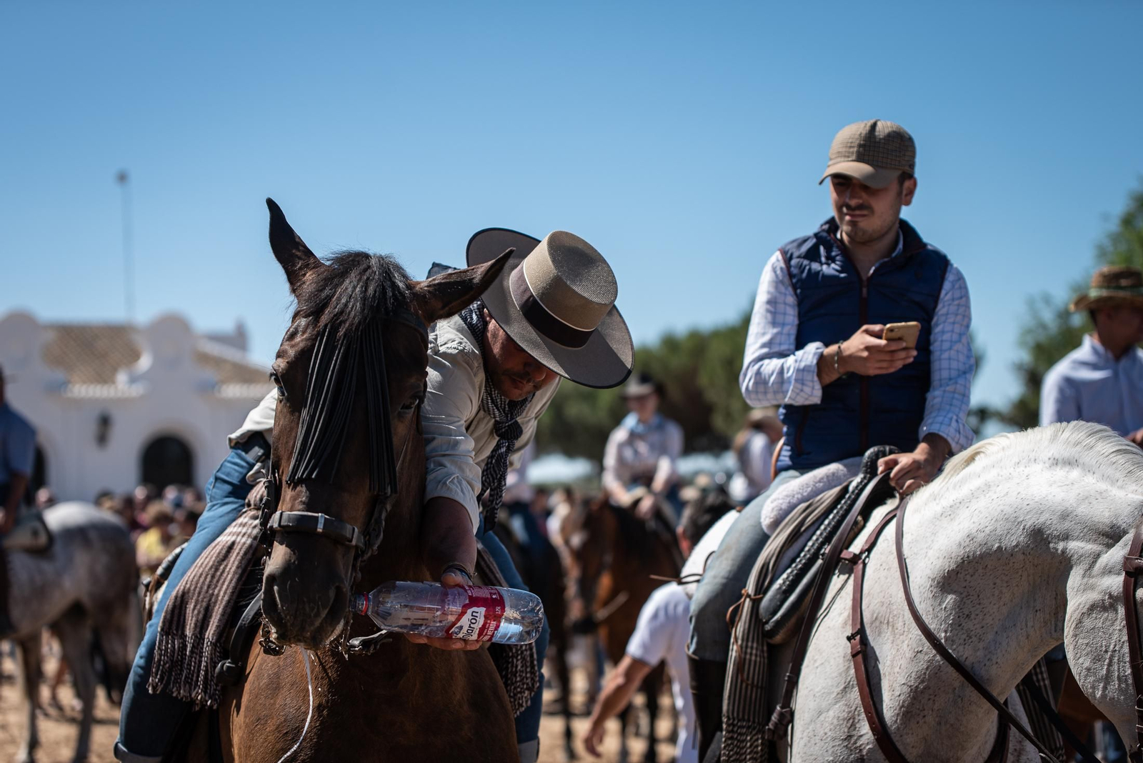 Imágenes de la Saca de las Yeguas a su paso por El Rocío