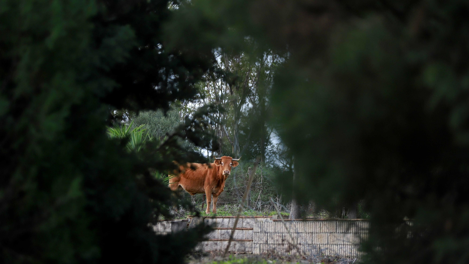 Las mejores fotos de Paloma Alta