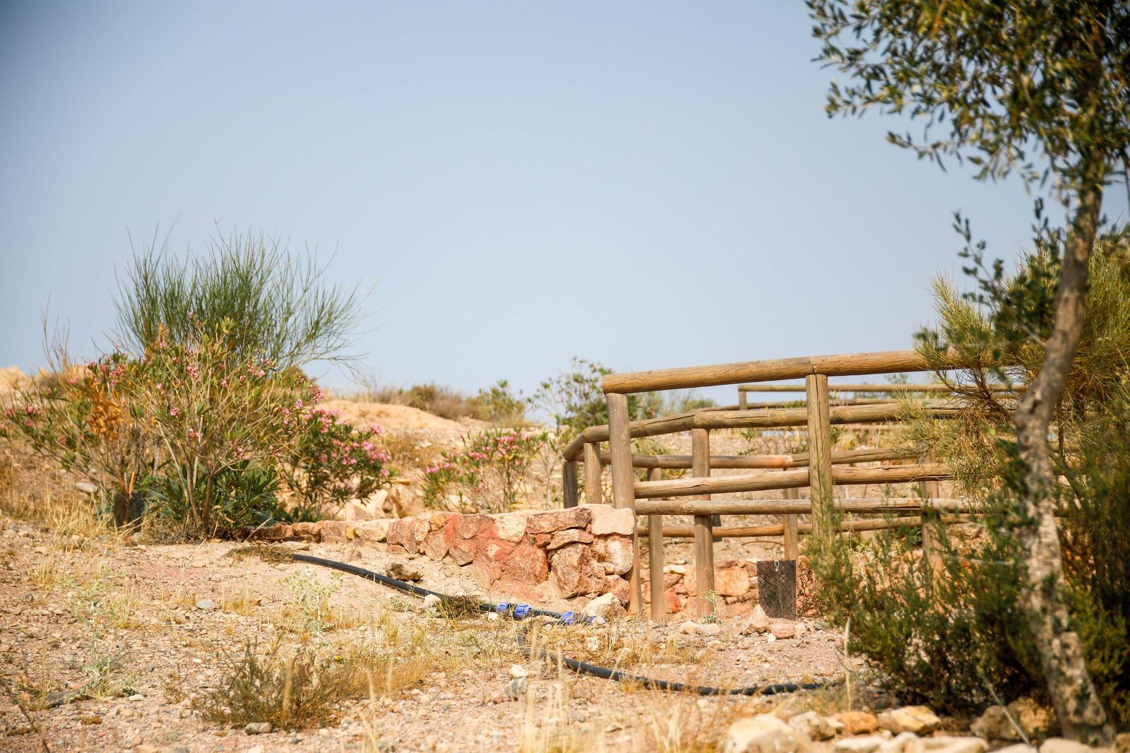 Presentación proyecto custodia compartida del Cordel de la Campita de Almería