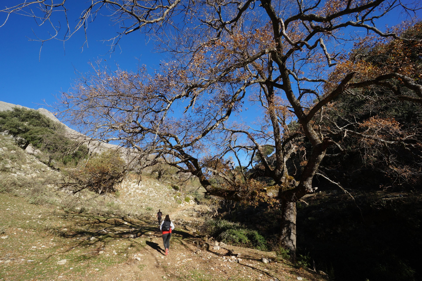 Un recorrido en fotografías de la subida a la Tiñosa, el pico más alto de Córdoba