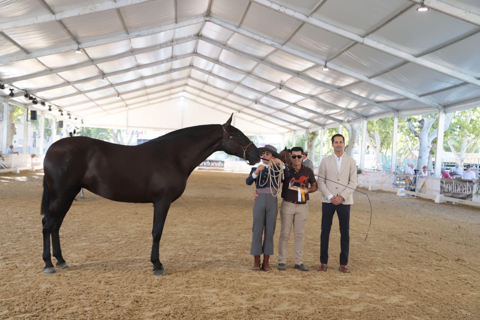 Así es el bello concurso de caballos de Andújar, en imágenes